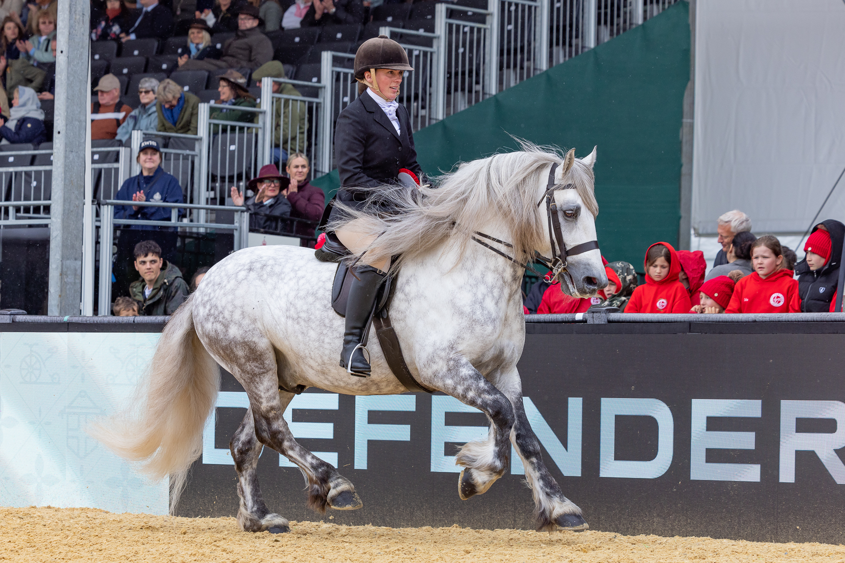 Ellena Thomas and Highland stallion Ashleyvale Glen Duror are reserves for the 2026 Royal Windsor M&M ridden title