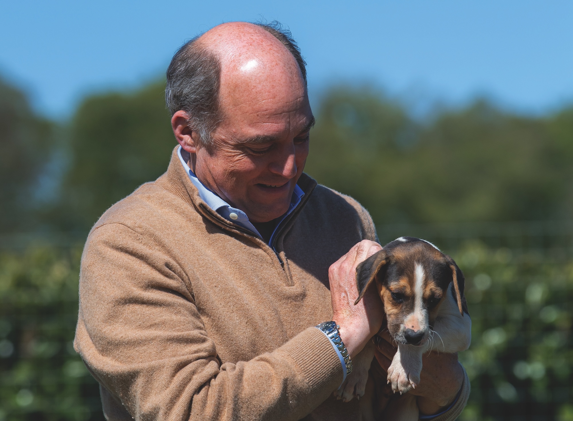 Sir Ben Wallace holds a hound puppy 