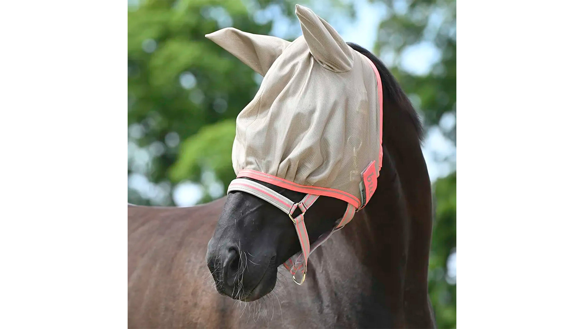 Bucas freedom fly mask for horses