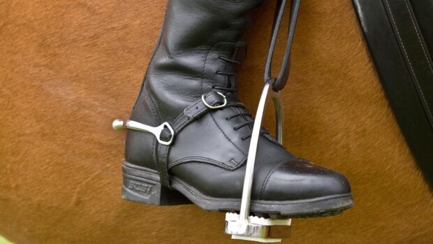 A close-up of a riding boot with spur against a horse's side
