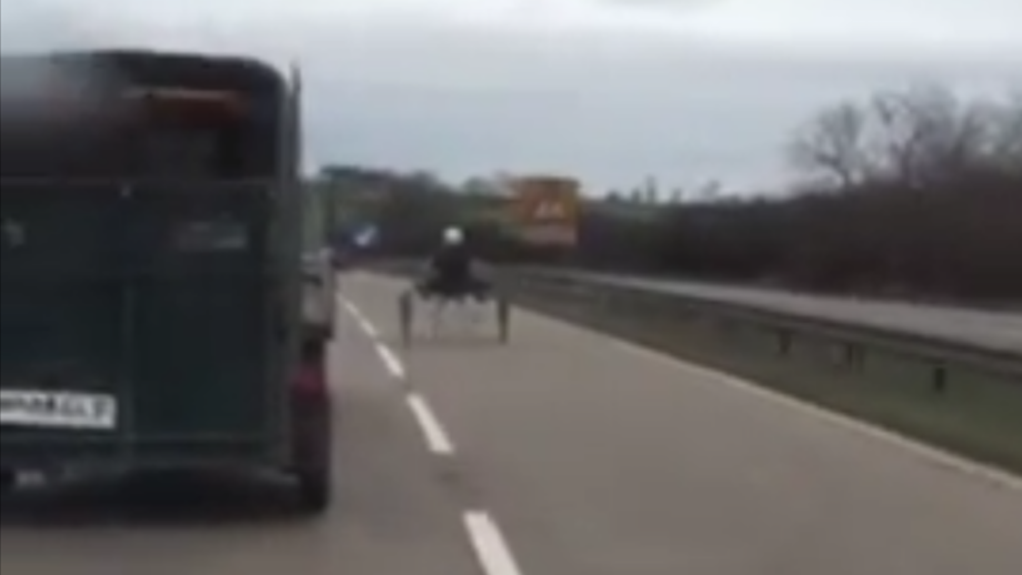A pony and trap being driven on a dual carriageway
