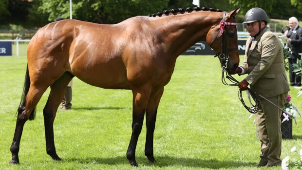 Reach For The Moon and Chris Hunnable are crowned 2026 Royal Windsor RoR in hand champions