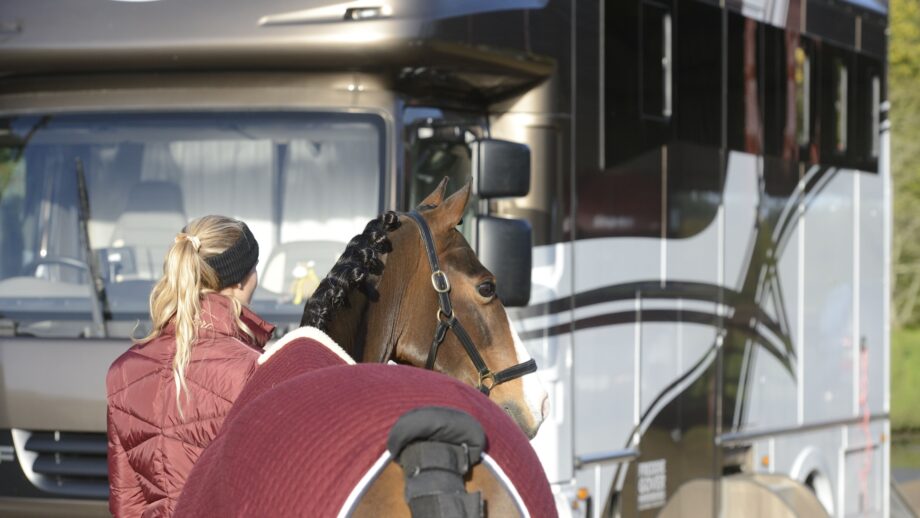 A woman leading a horse towards a lorry to transport it