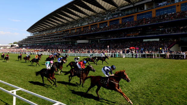 Horses racing in front of the stands at Royal Ascot
