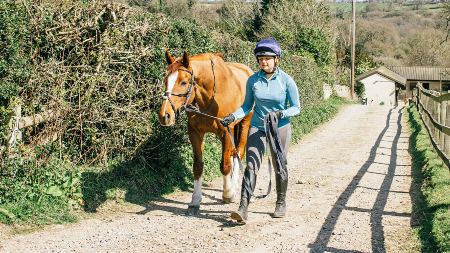 Rider leading horse in lungeing kit