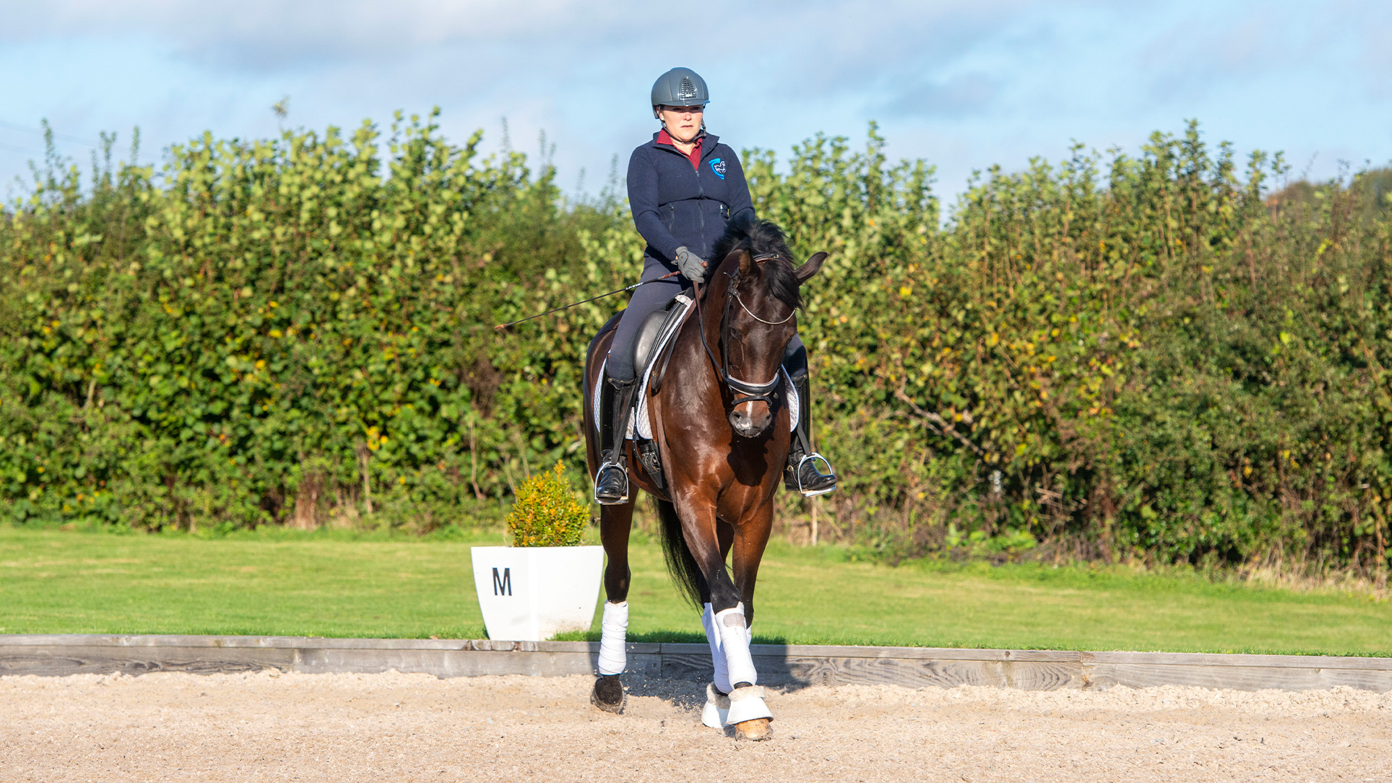 Transform your 20m circles with this productive schooling exercise