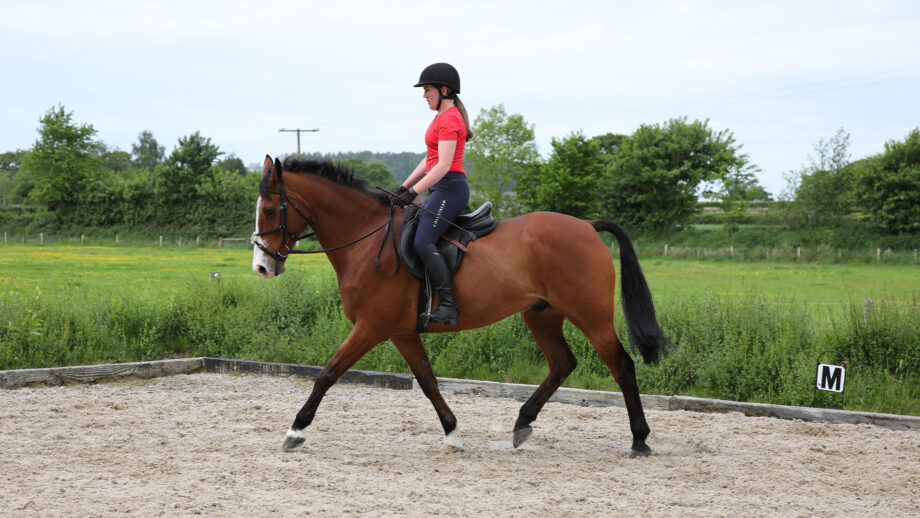 Woman riding in an arena