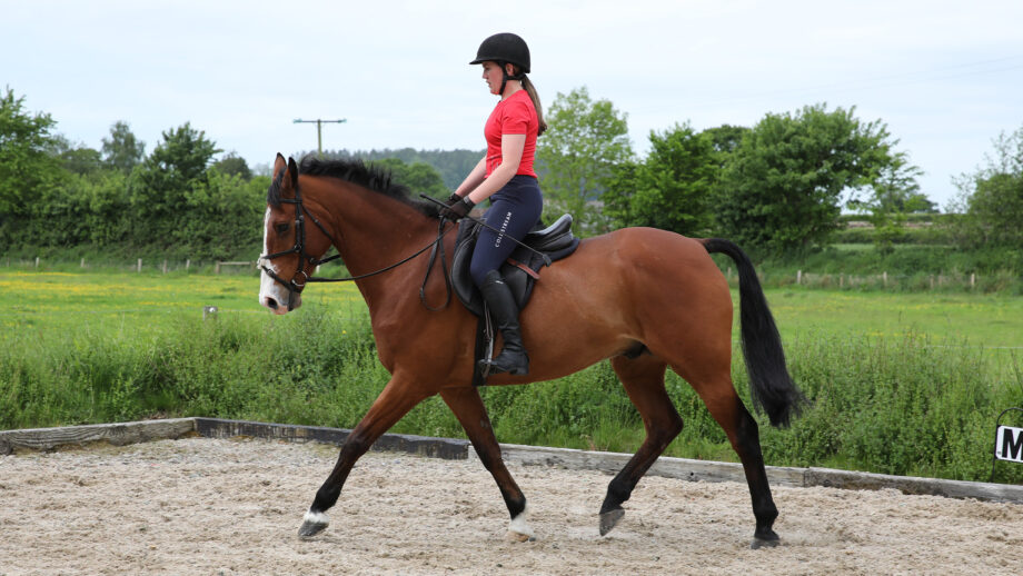 Female riding a horse in sand school wearing a bright red T-shirt