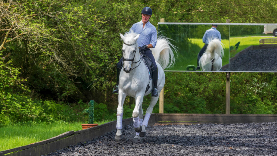 Grey horse cantering on a circle