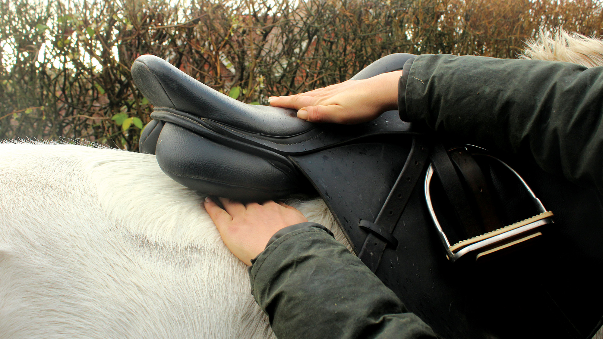 Close up of someone running hand between horse’s back and saddle to check saddle fit