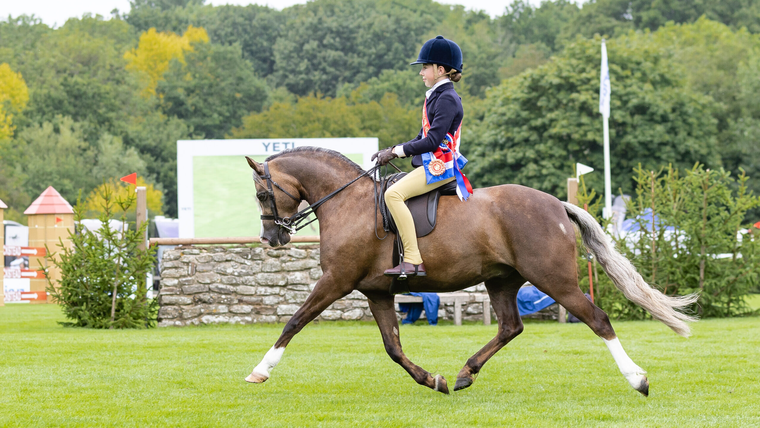 Maisie Kerry Oakes and Cadlanvalley Royal Bronze trot from the ring as M&M junior champion at the Royal International