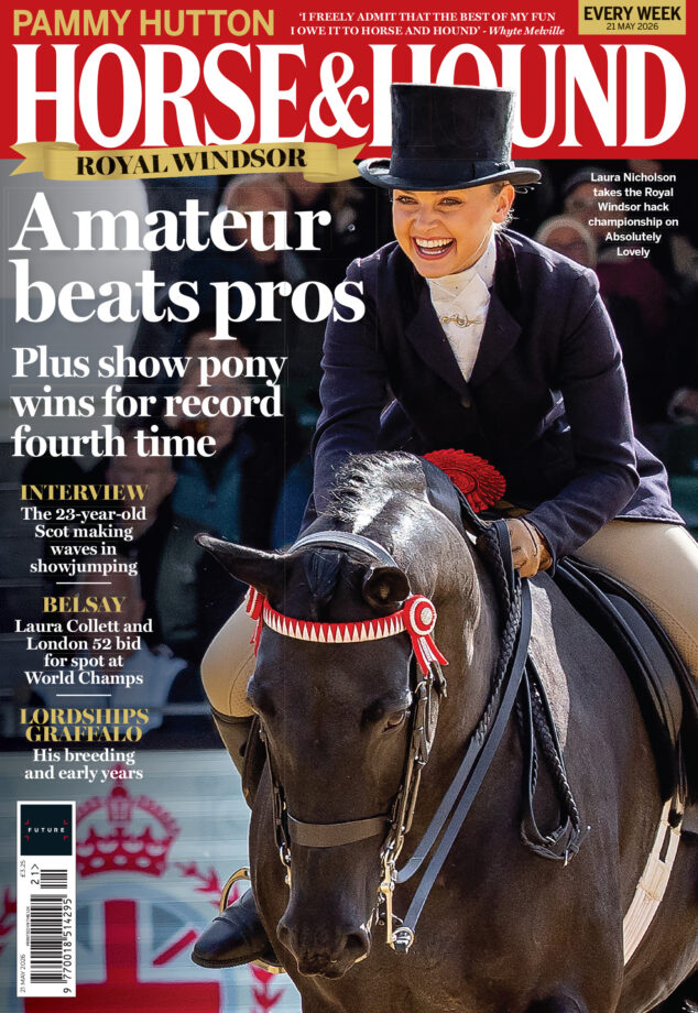 Cover of Horse & Hound on sale from 21 May, featuring a bay show horse. The woman riding him smiles, celebrating a win at the Royal Windsor Horse Show
