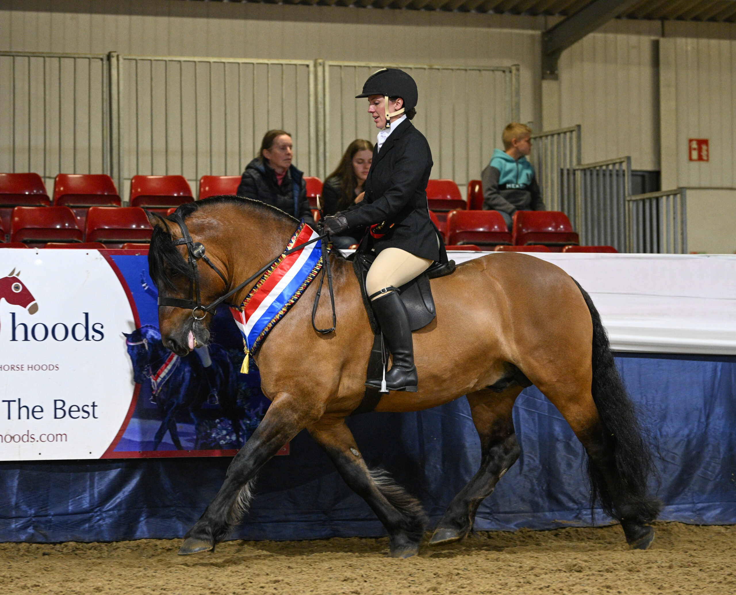 Harray of Drumdewan and Ellena Thomas are young pony champions, heritage novice champions, and overall supreme at the 2026 BSPS Winter Championships 