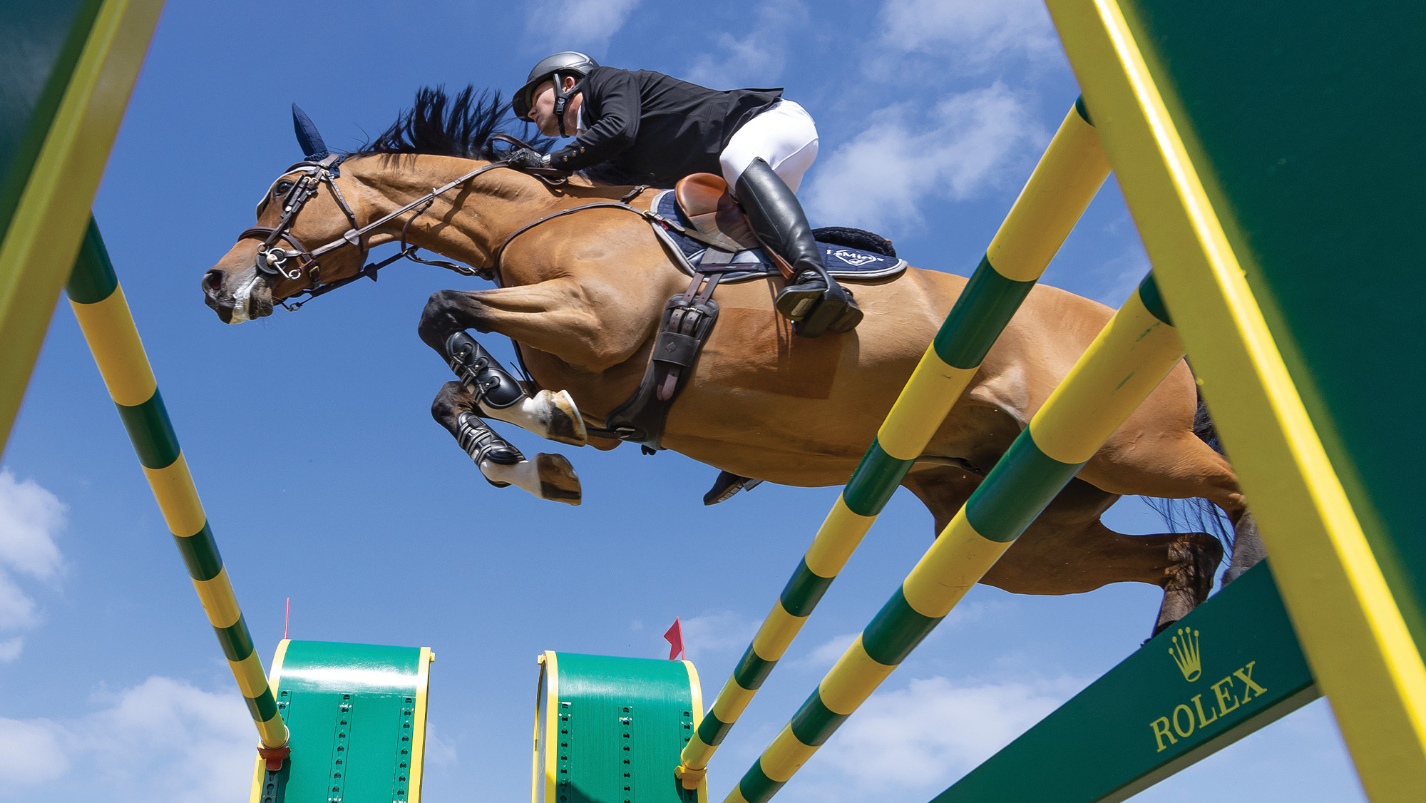 Royal Windsor showjumping entries produce a line-up fit for a king