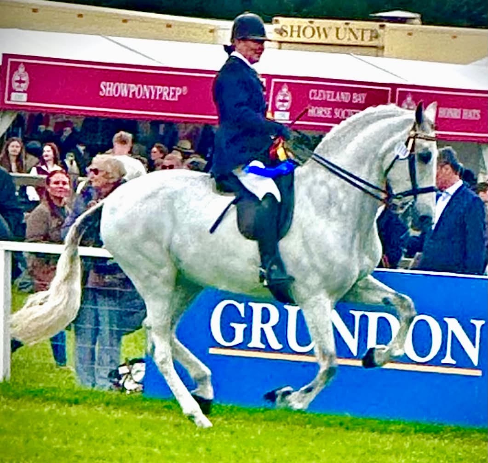 ‘I thought I was going to die’: mare bought for £1 as unrideable becomes horse of a lifetime and excels at Royal Windsor