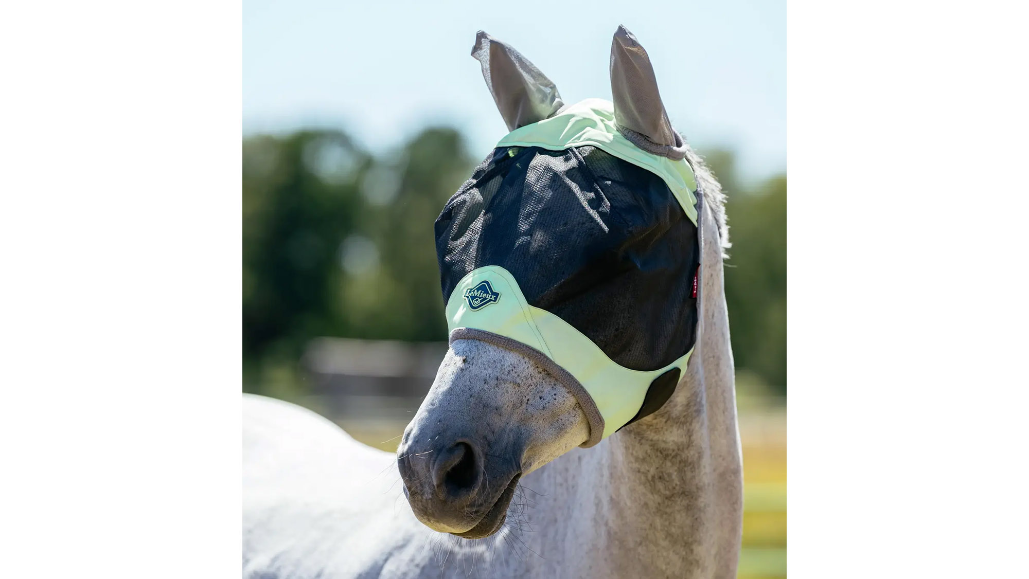 Horse wearing LeMieux Visor-Tek Half Fly Mask in Macaron
