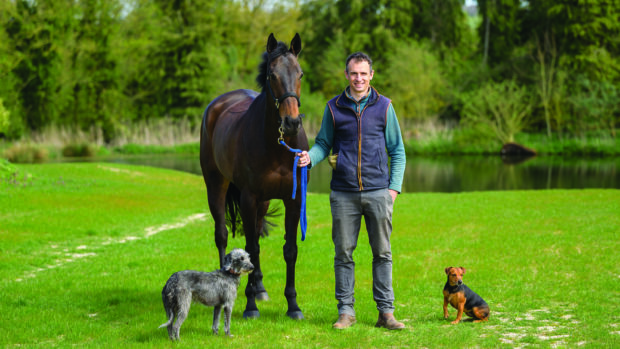 Tom Strawson with his Badminton Horse Trials ride Public Address, plus dogs Tigga and Taffie.