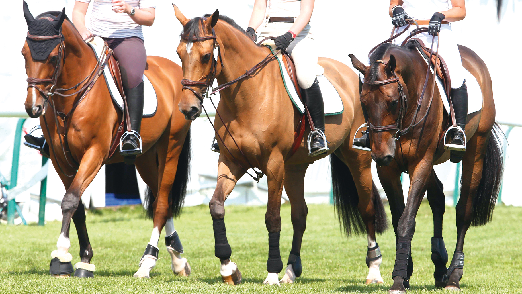 Running reins debate continues as top names and H&H readers weigh in