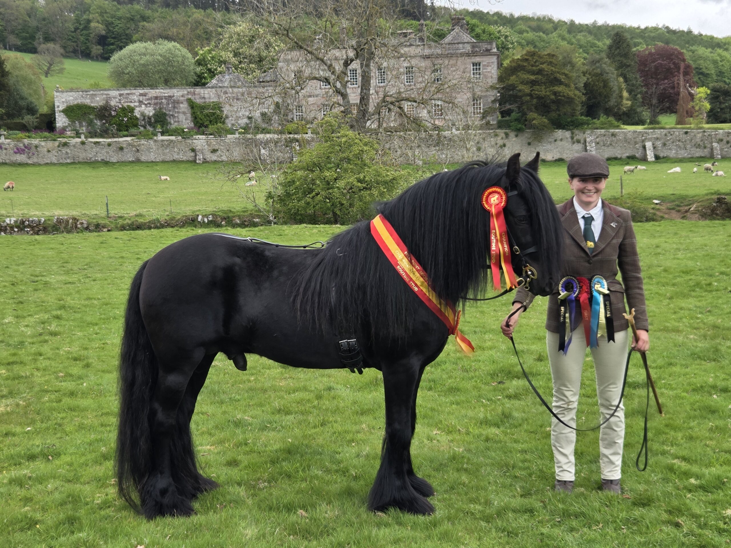 Bronte Crosby and Fell pony stallion Oscar II are crowned stallion champion and supreme at the 2026 Fell Pony Society Stallion and Colt Show.