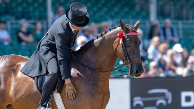 Harrison Taylor and Cranbornes Sirius, the 2025 reserve hack champions at Royal Windsor