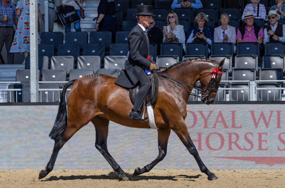 Harrison Taylor and Cranbornes Sirius, the 2025 reserve hack champions at Royal Windsor