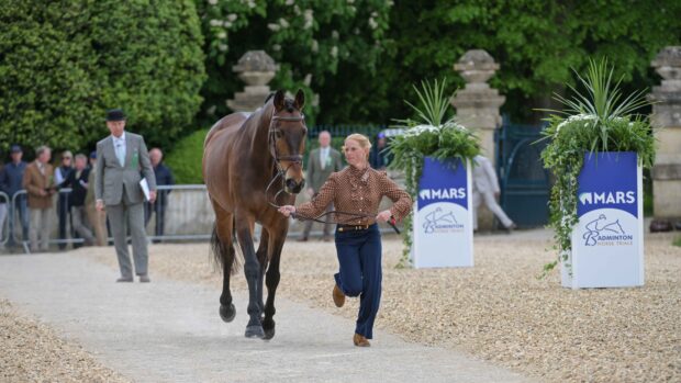 Ros Canter trots up Lordships Graffalo at Badminton Horse Trials 2026.
