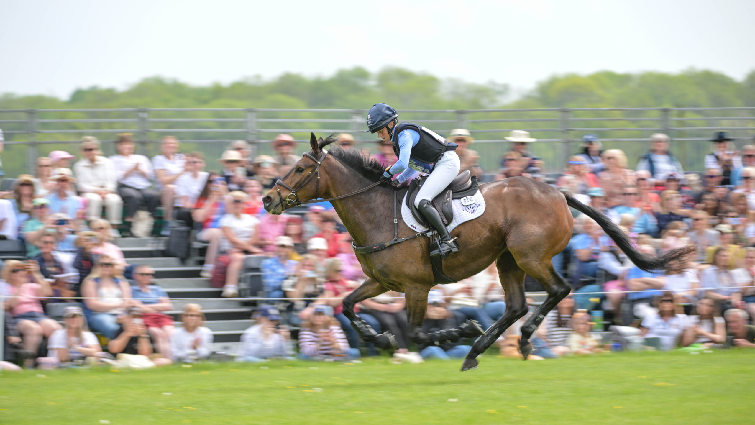 Ros Canter and Lordships Graffalo galloping on the flat between fences at Badminton Horse Trials 2026. 