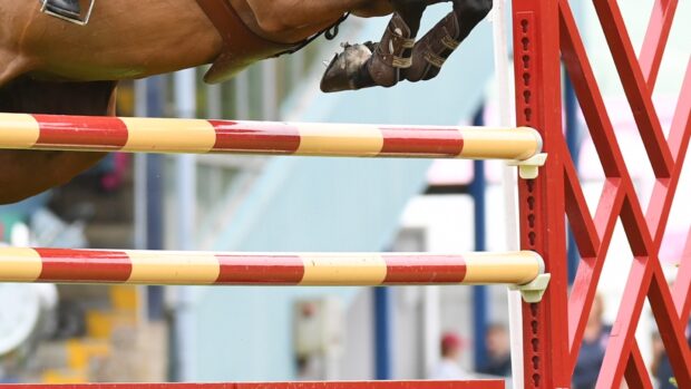 A close-up of a horse clearing a showjump