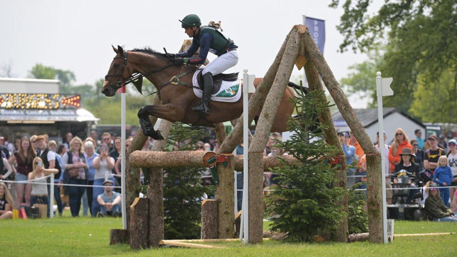 A bay horse jumps a large wooden oxer on the Badminton Horse Trials cross-country course with the crowds in the background