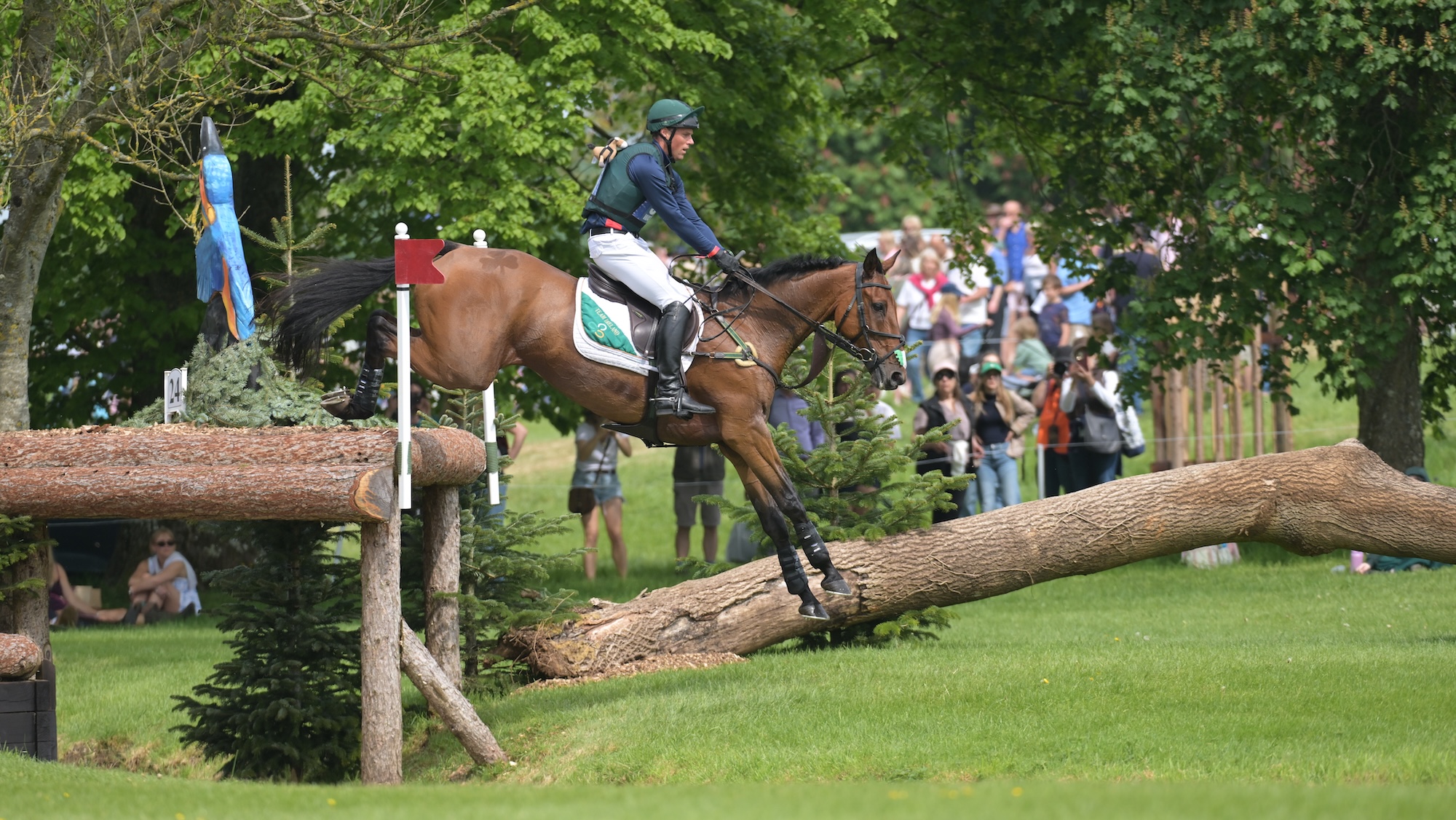 ‘Numbers will drop more if we don’t act’: top eventer’s suggestion to boost Badminton and Burghley entries