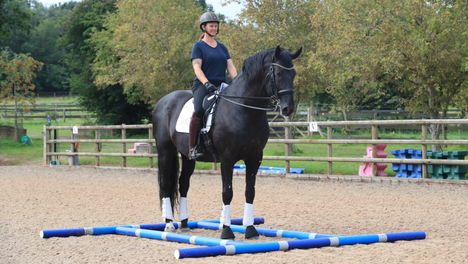 Tania Grantham on horse halted between poles, demonstrating exercise to improve square halt