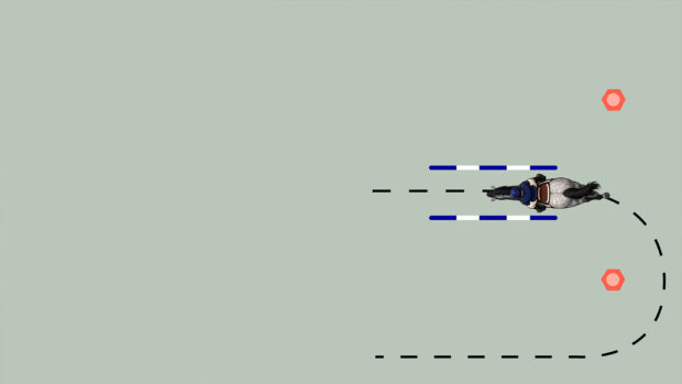 setup of polework exercise to improve centre line, showing two cones on the quarter lines and two poles either side of the centre line