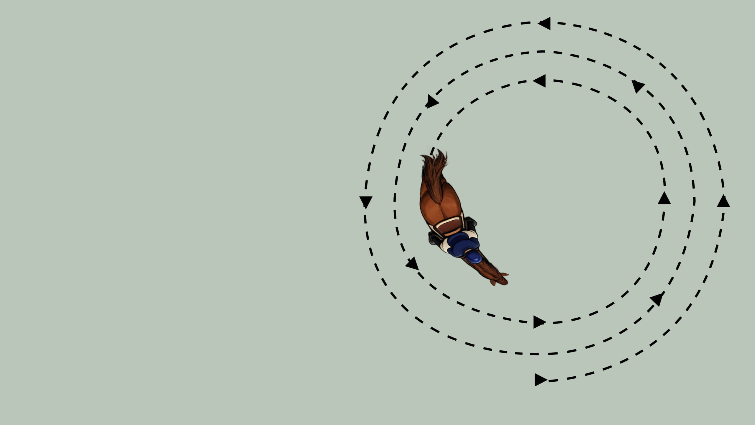 diagram of circle exercise for horse training on the flat