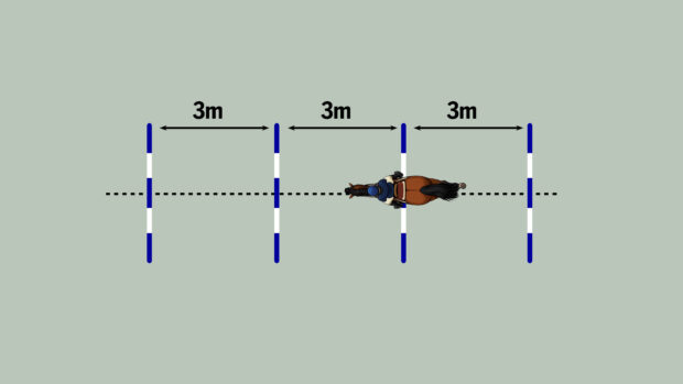 Diagram of horse being ridden over four poles.