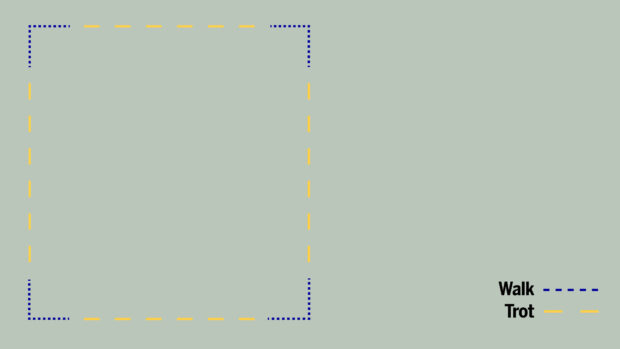 Diagram showing square for horses to practise corners