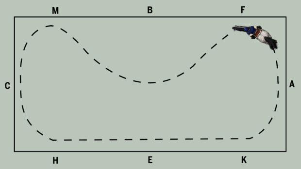 Diagram of a long 20x40m arena with a dotted line showing a 10m loop
