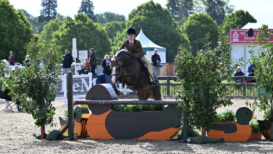 Maisie Kerry Oates and Cadlanvalley Royal Bronze jump to victory in the 2026 Windsor M&M WHP championship