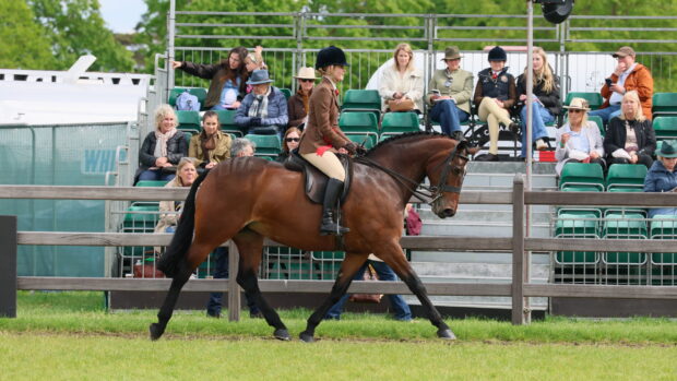 Royal Illusion and Claudia De La Hey trot to the intermediate championship at Royal Windsor in 2026