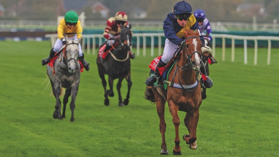 Pony racing scene on grass racecourse