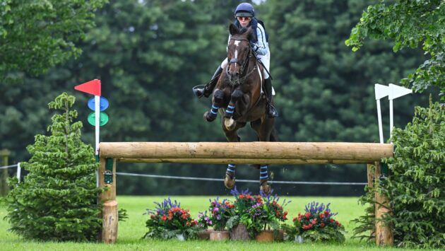 ‘He’s done everything for me’: veteran home-bred star helps rider to under-25 title