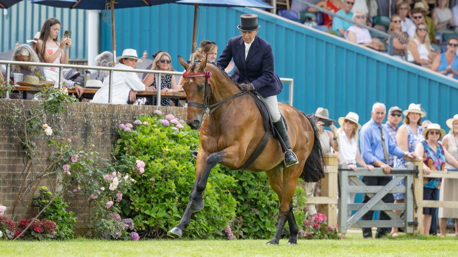Katie Jerram Hunnable and First Receiver gallop along the front of the ring at the Hickstead Derby Meeting.