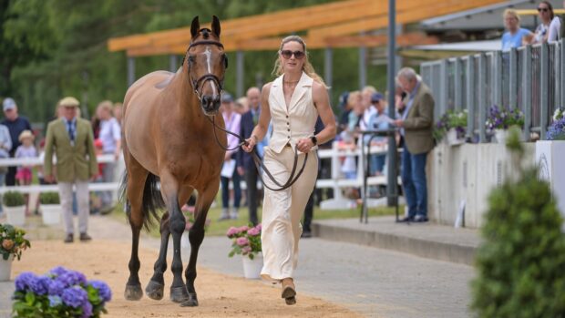 Pictured British rider Caroline Harris and horse D.Day at the Luhmühlen Horse Trials first trot-up.