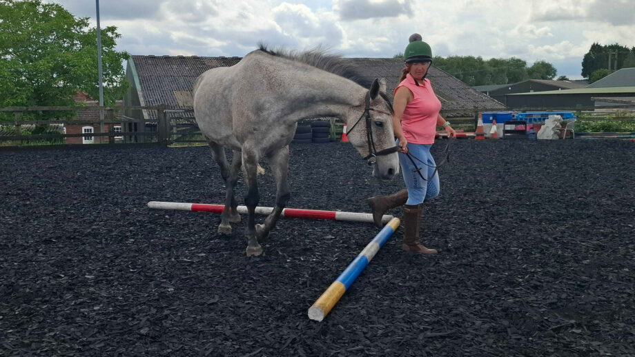 Woman leading horse over two poles laid at right angles