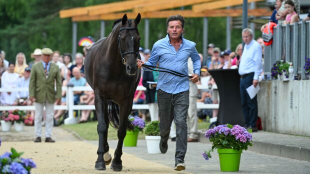 New Zealand rider Dan Jocelyn pictured at the CCI4*-S Luhmühlen Horse Trials final horse inspection with Blackthorn Cruise.