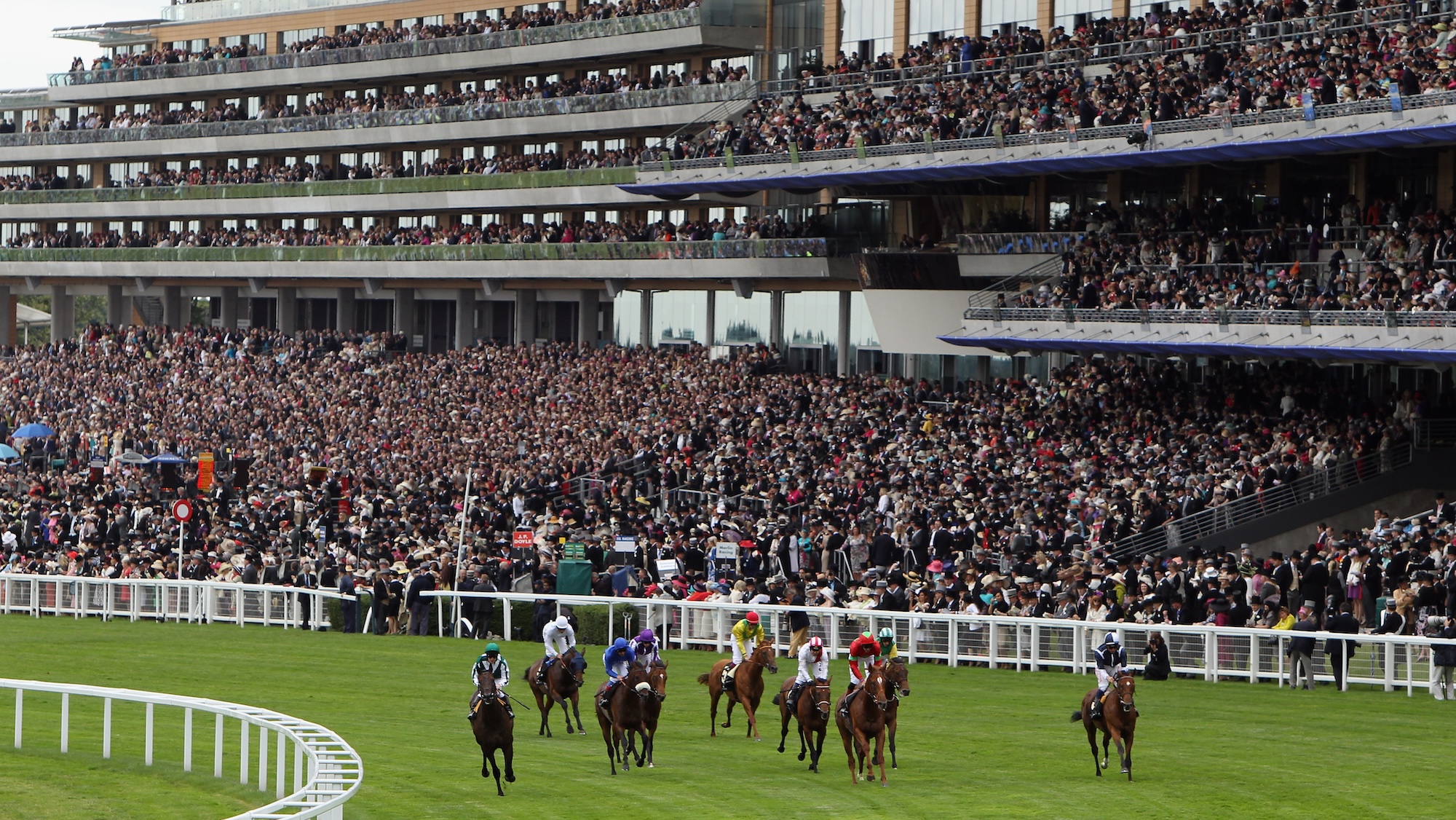 ‘Lead with the sport and storytelling’: how horse world can tap into up to 200 million potential new fans