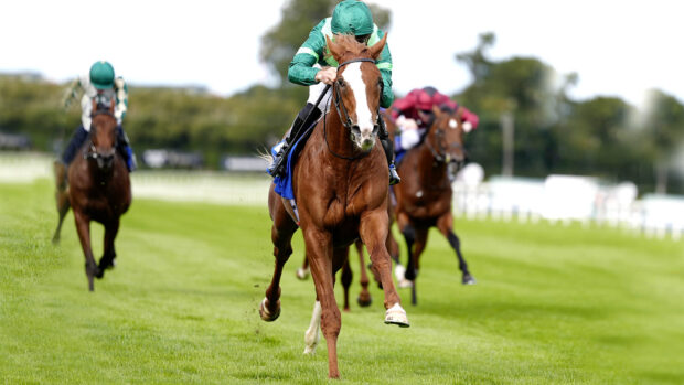 Christophe Soumillon riding Benvenuto Cellini win The KPMG Champions Juvenile Stakes at Leopardstown Racecourse