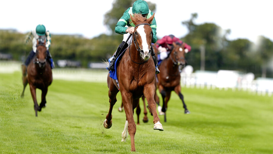 Christophe Soumillon riding Benvenuto Cellini win The KPMG Champions Juvenile Stakes at Leopardstown Racecourse