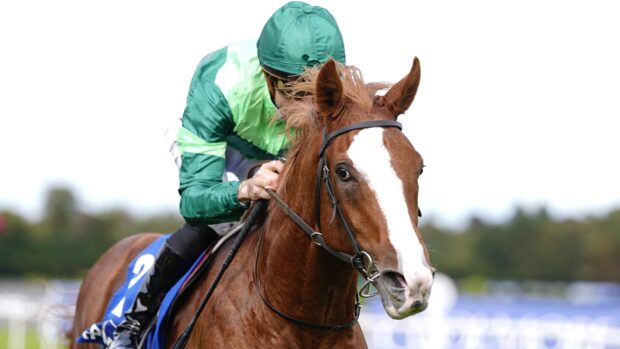 Christophe Soumillon riding Benvenuto Cellini at Leopardstown Racecourse
