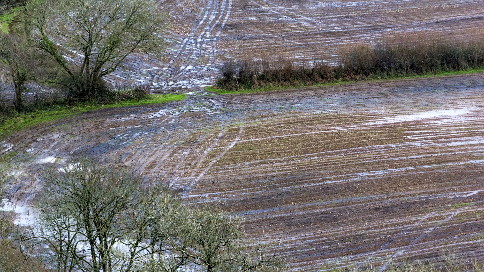 Muddy fields with tyre tracks