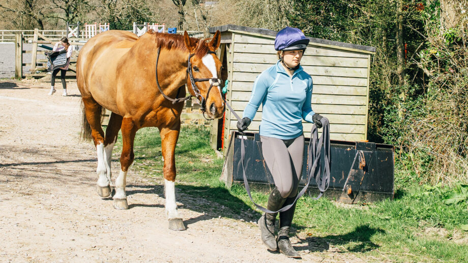 Rider leading horse to arena ready for groundwork